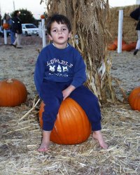 Or12.jpg (12134 bytes)